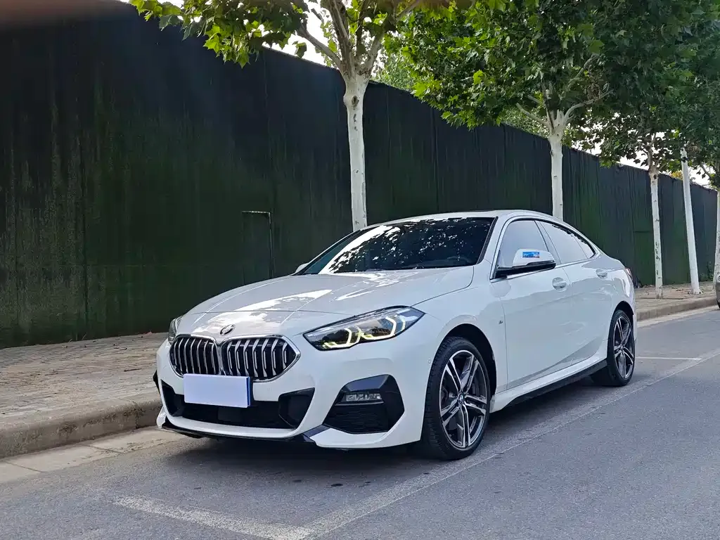 BMW 2 Series (Import) — фото 1