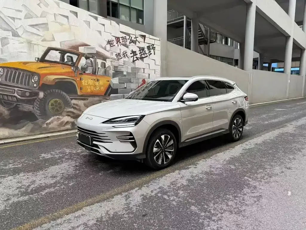 BYD PLUS New Energy — фото 1