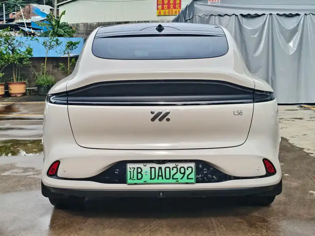 IM LS6 — фото 5