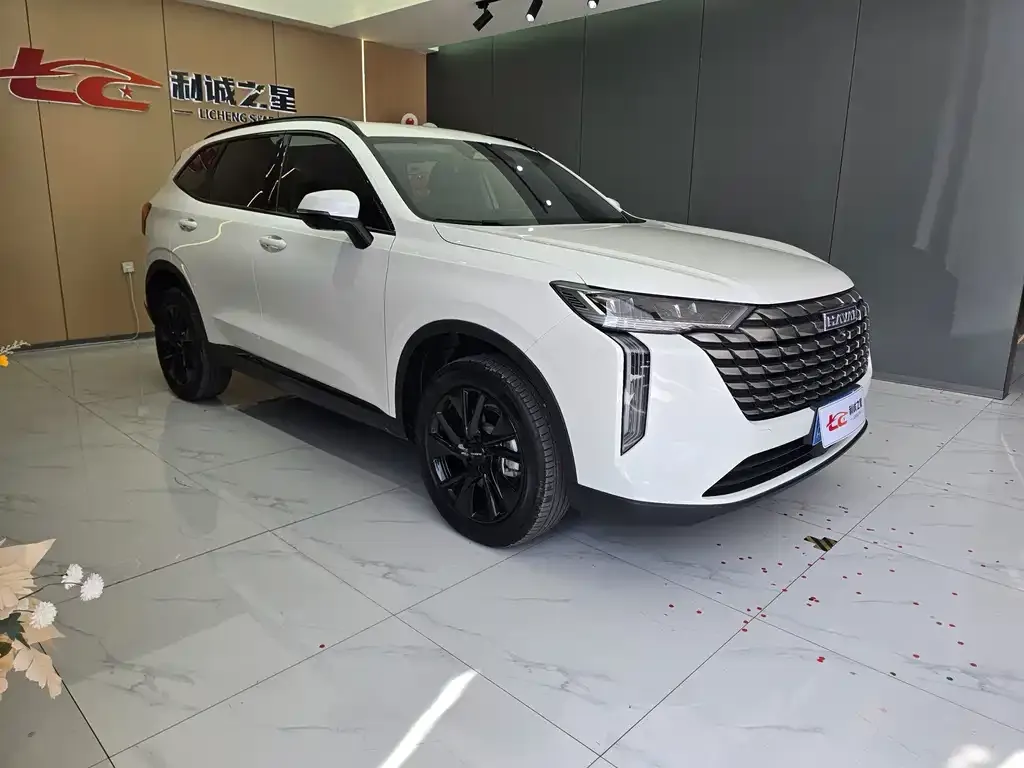 Haval H6 — фото 10