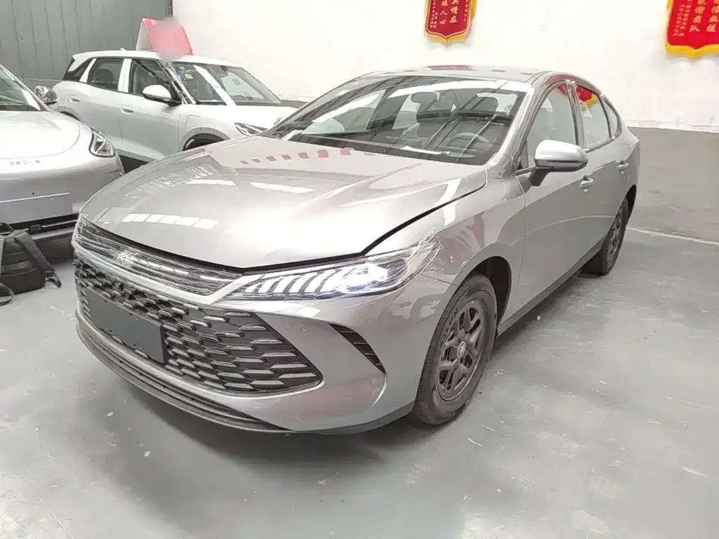 BYD Qin PLUS — фото 3