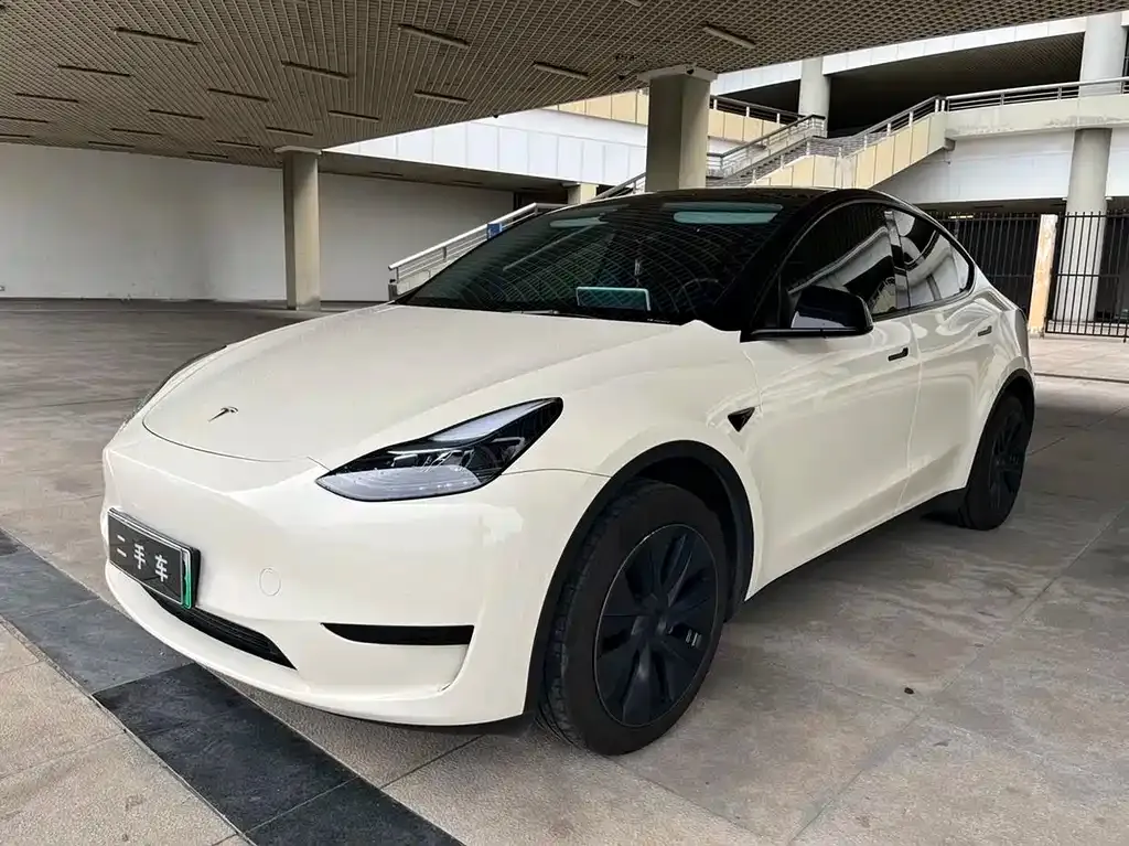 Tesla Model Y — фото 1
