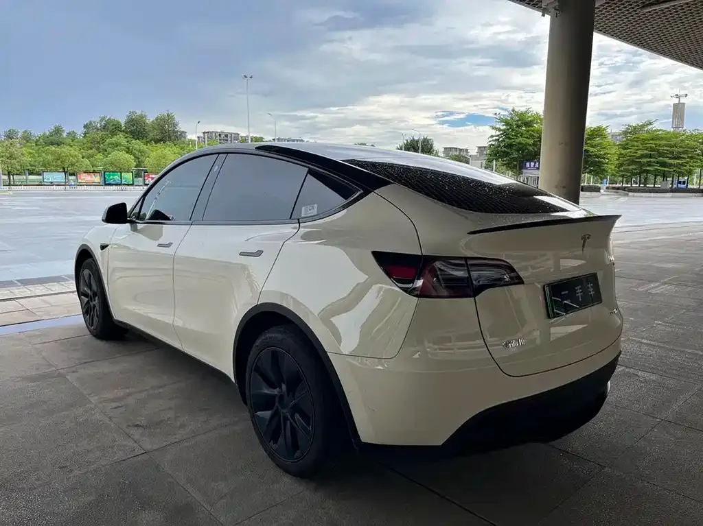 Tesla Model Y — фото 8