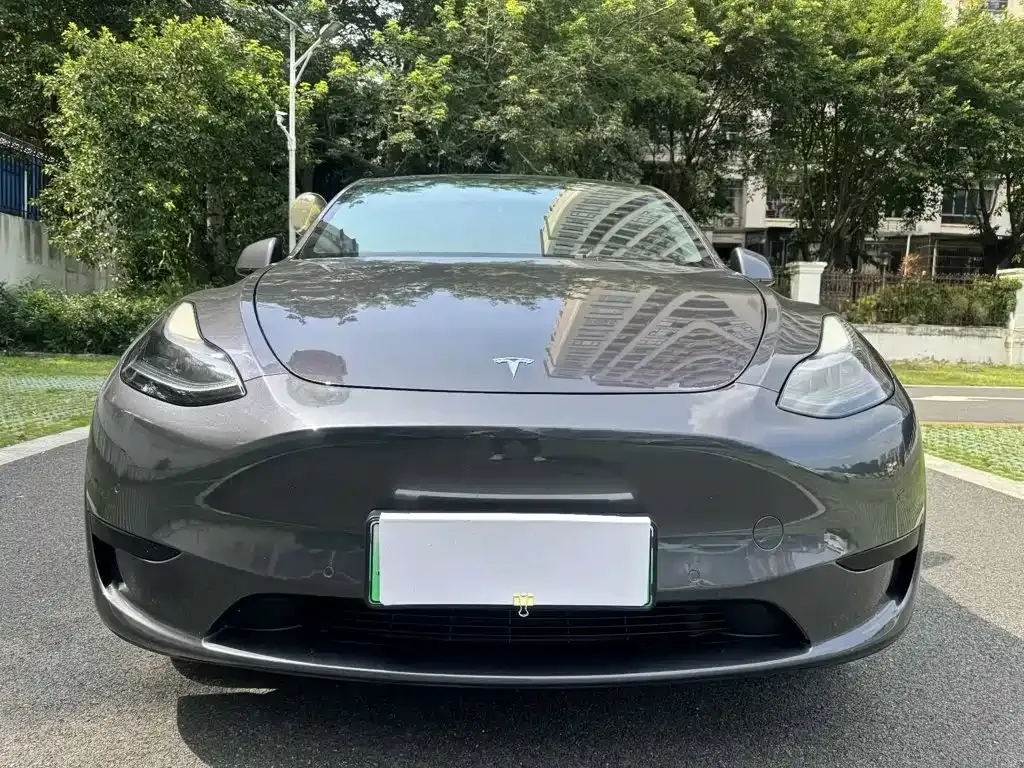 Tesla Model Y — фото 2