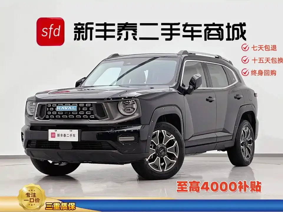 Haval Big Dog PLUS New Energy — фото 1