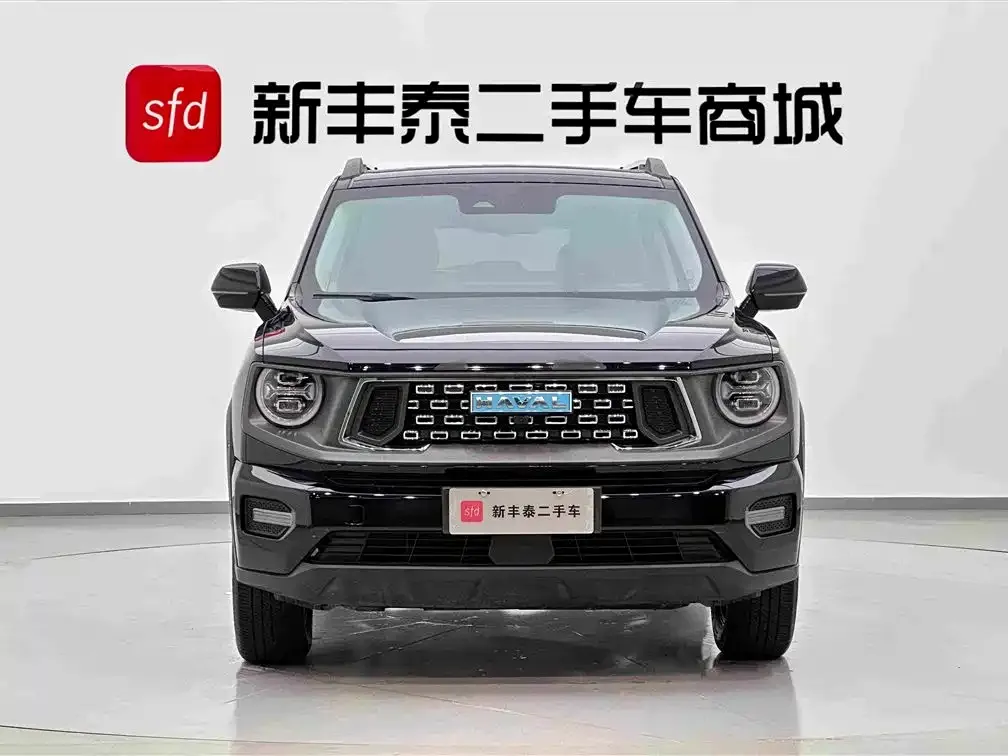 Haval Big Dog PLUS New Energy — фото 10