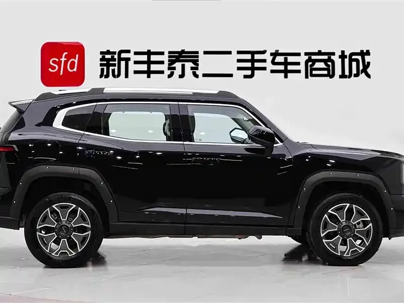 Haval Big Dog PLUS New Energy — фото 8