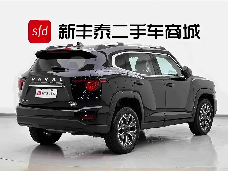 Haval Big Dog PLUS New Energy — фото 3