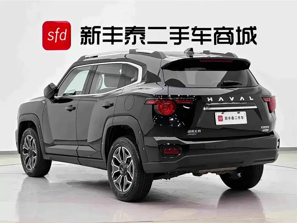 Haval Big Dog PLUS New Energy — фото 9