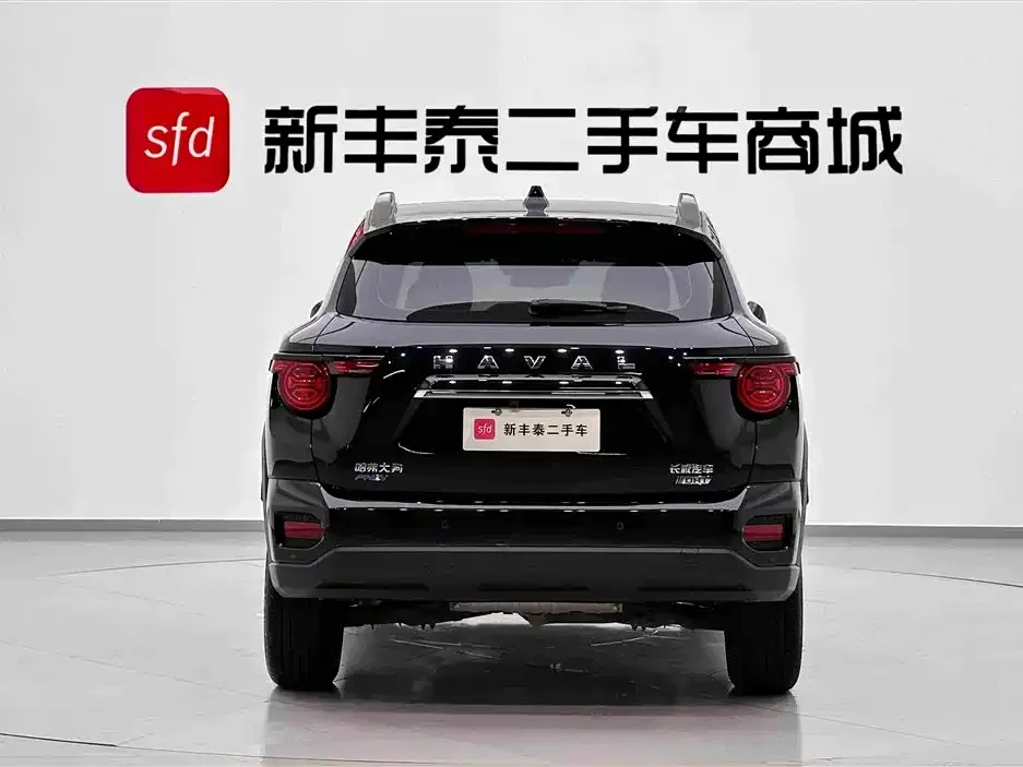Haval Big Dog PLUS New Energy — фото 7