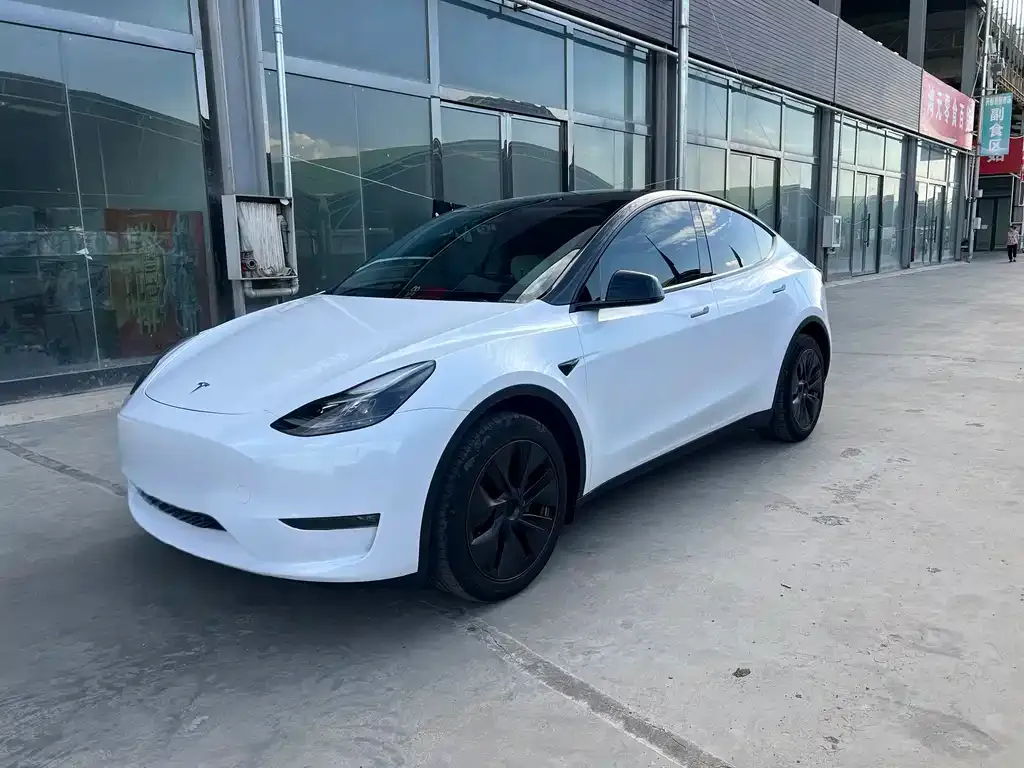 Tesla Model Y — фото 1