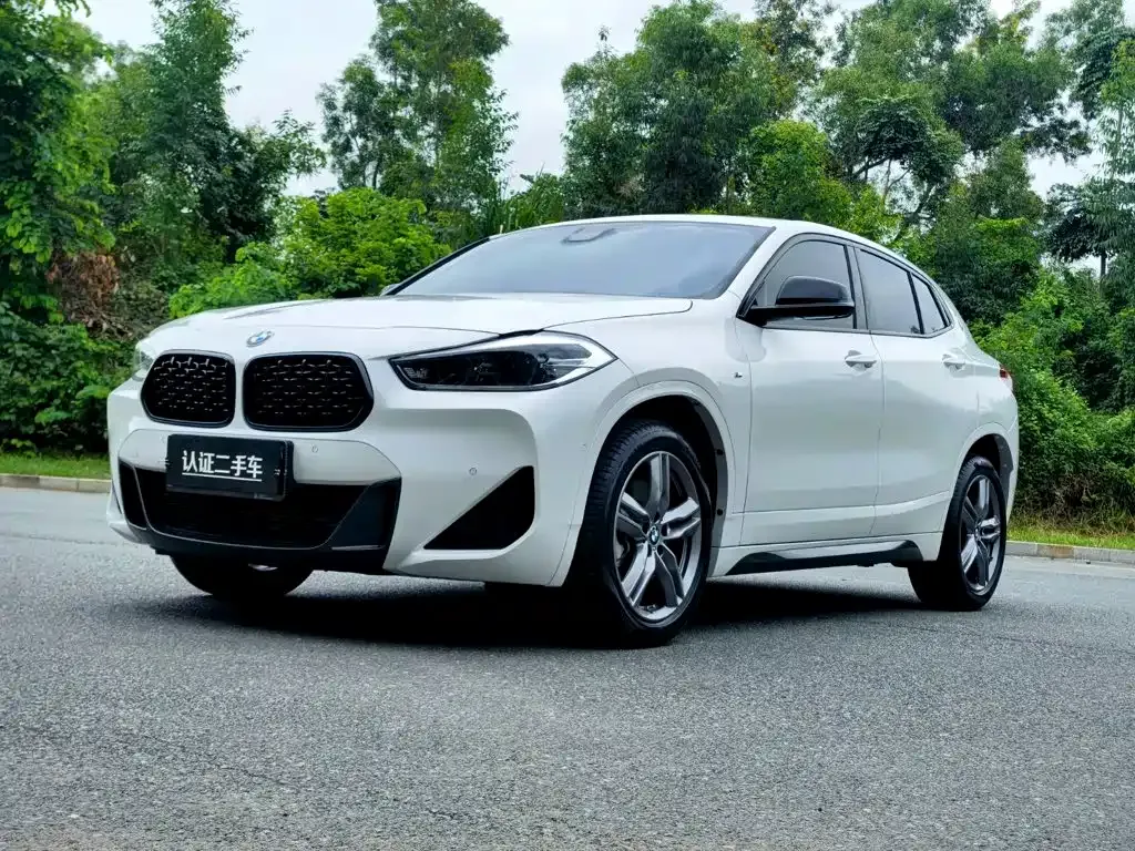 BMW X2 — фото 1