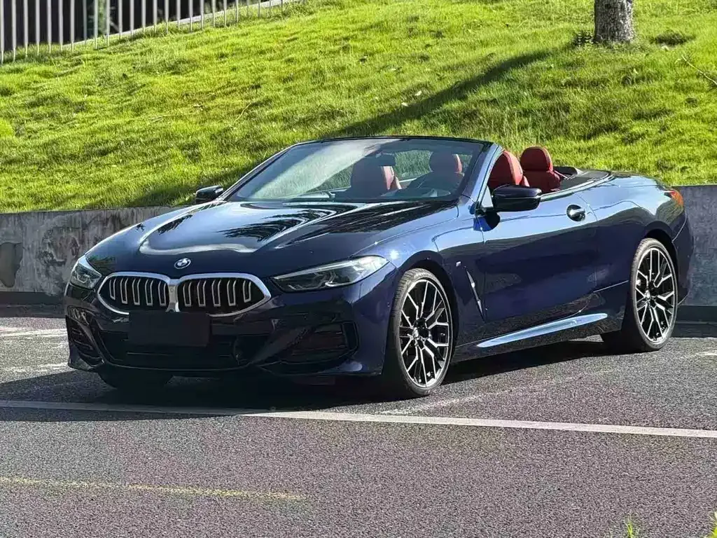 BMW 8 Series — фото 1