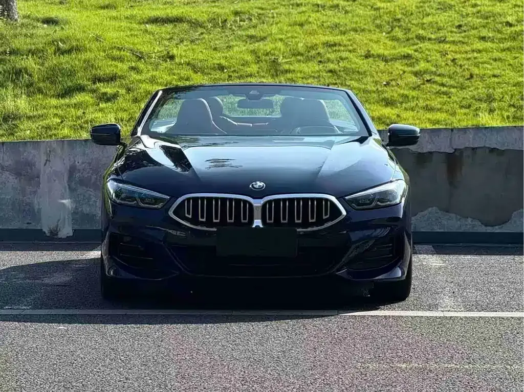 BMW 8 Series — фото 5