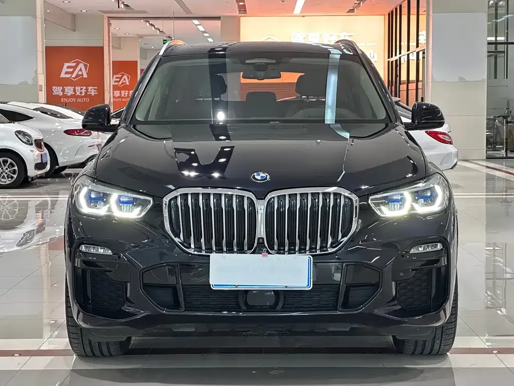 BMW X5 (Import) — фото 6