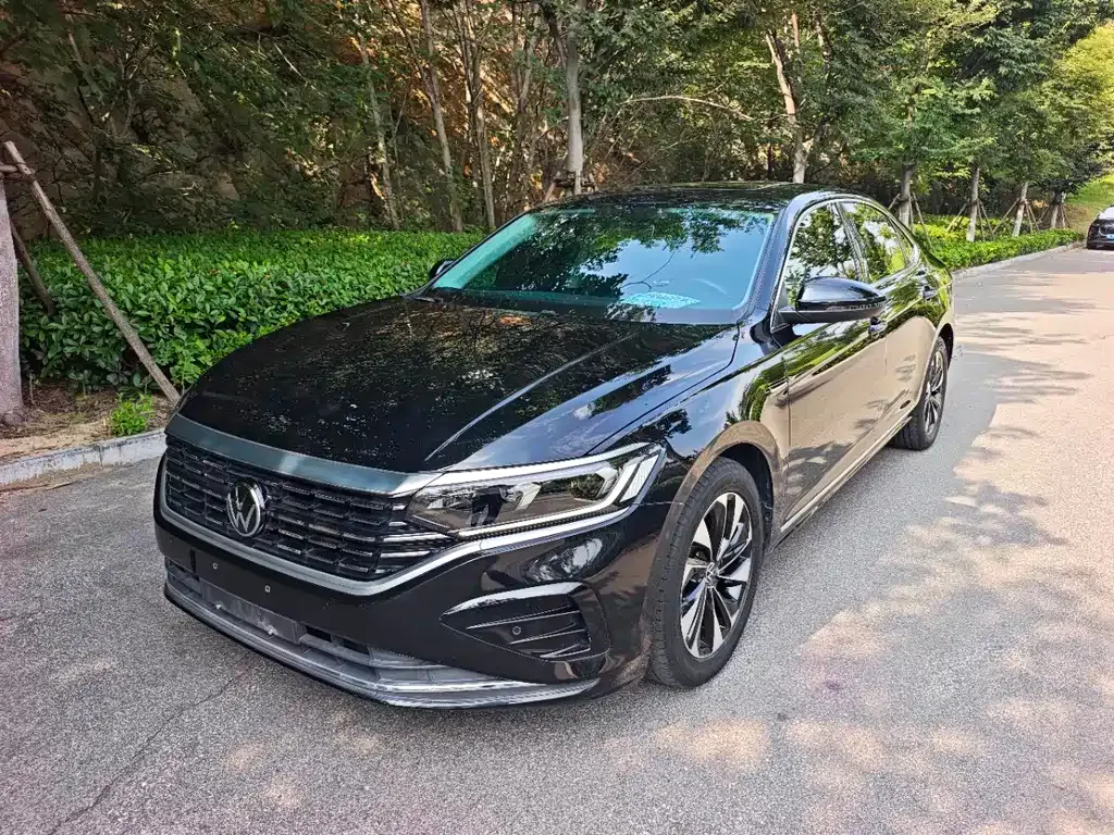 Volkswagen Passat — фото 1