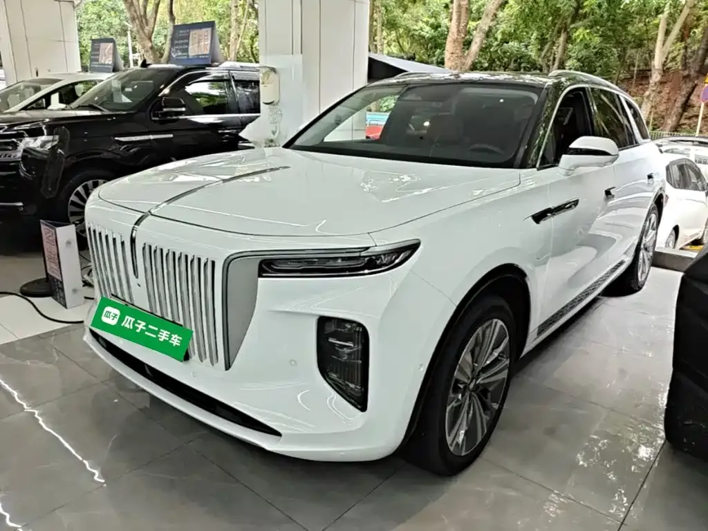 Hongqi E-HS9 — фото 1