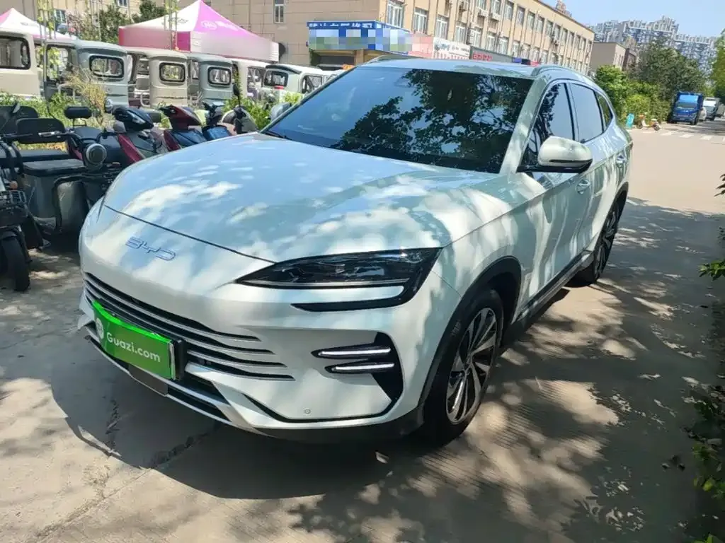 BYD PLUS New Energy — фото 1