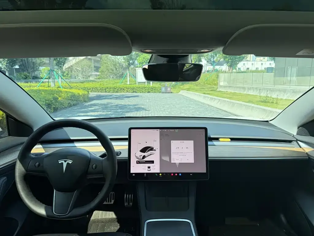 Tesla Model 3 — фото 2