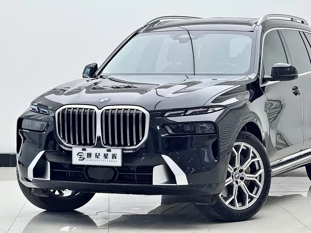 BMW X7 — фото 5