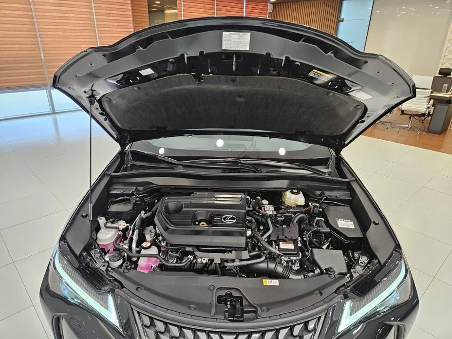 Lexus UX — фото 10