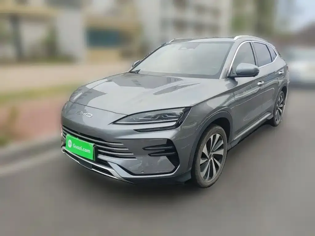 BYD PLUS New Energy — фото 1