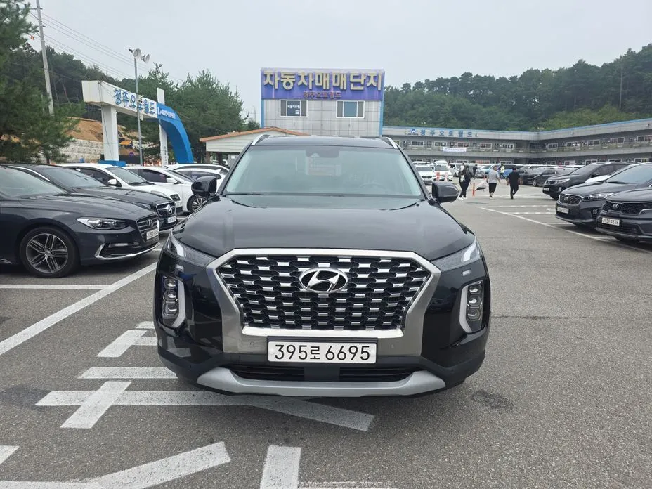 Hyundai Palisade — фото 1