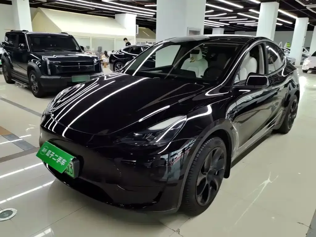 Tesla Model Y — фото 8