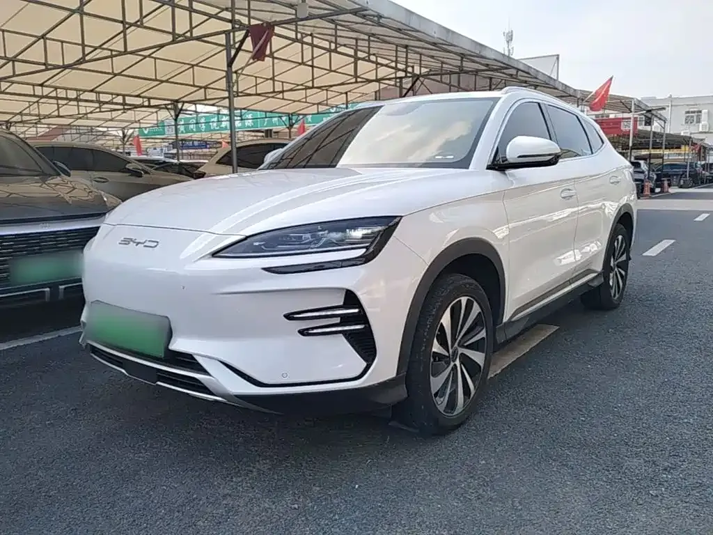 BYD PLUS New Energy — фото 1