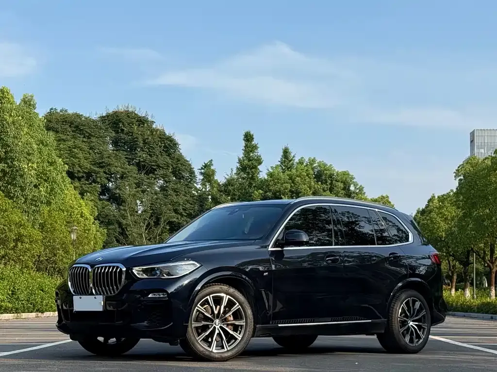 BMW X5 (Import) — фото 1