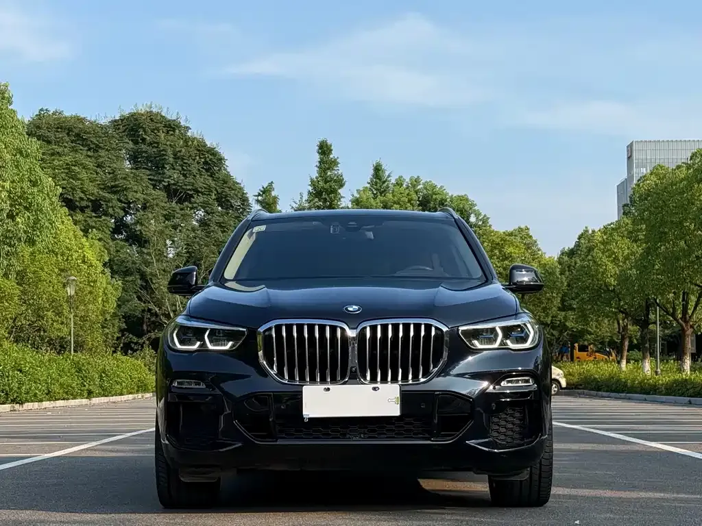 BMW X5 (Import) — фото 5