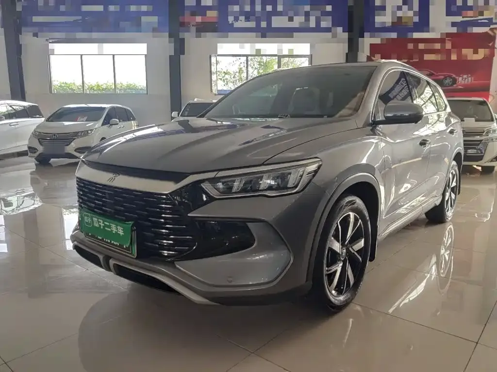 BYD Pro New Energy — фото 8