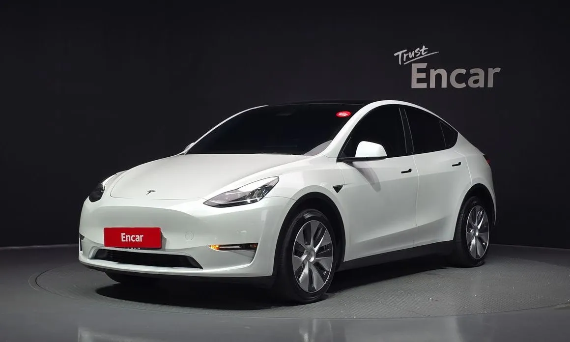 Tesla Model Y — фото 1