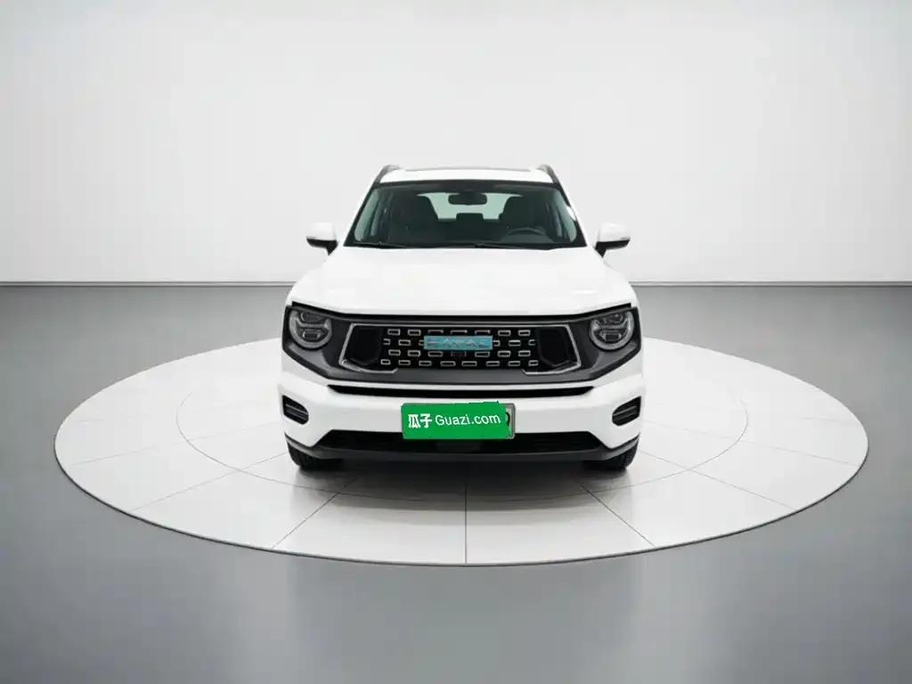 Haval Big Dog PLUS New Energy — фото 6
