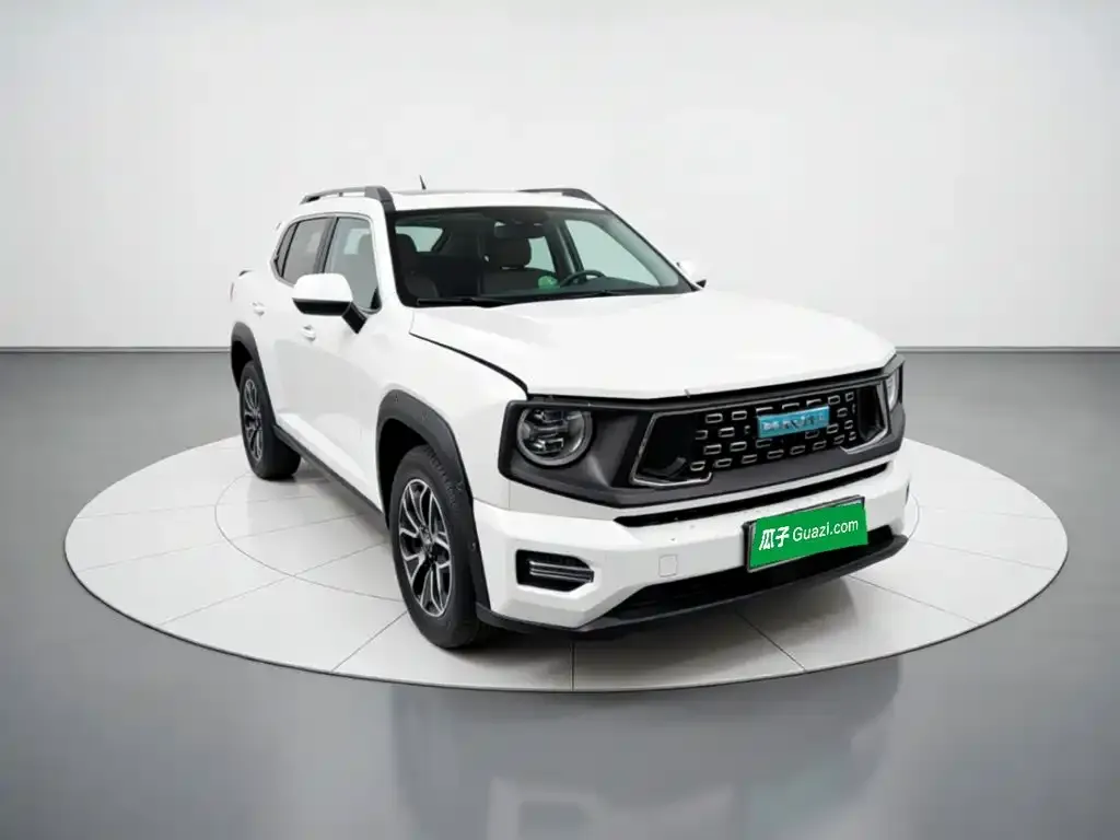 Haval Big Dog PLUS New Energy — фото 7
