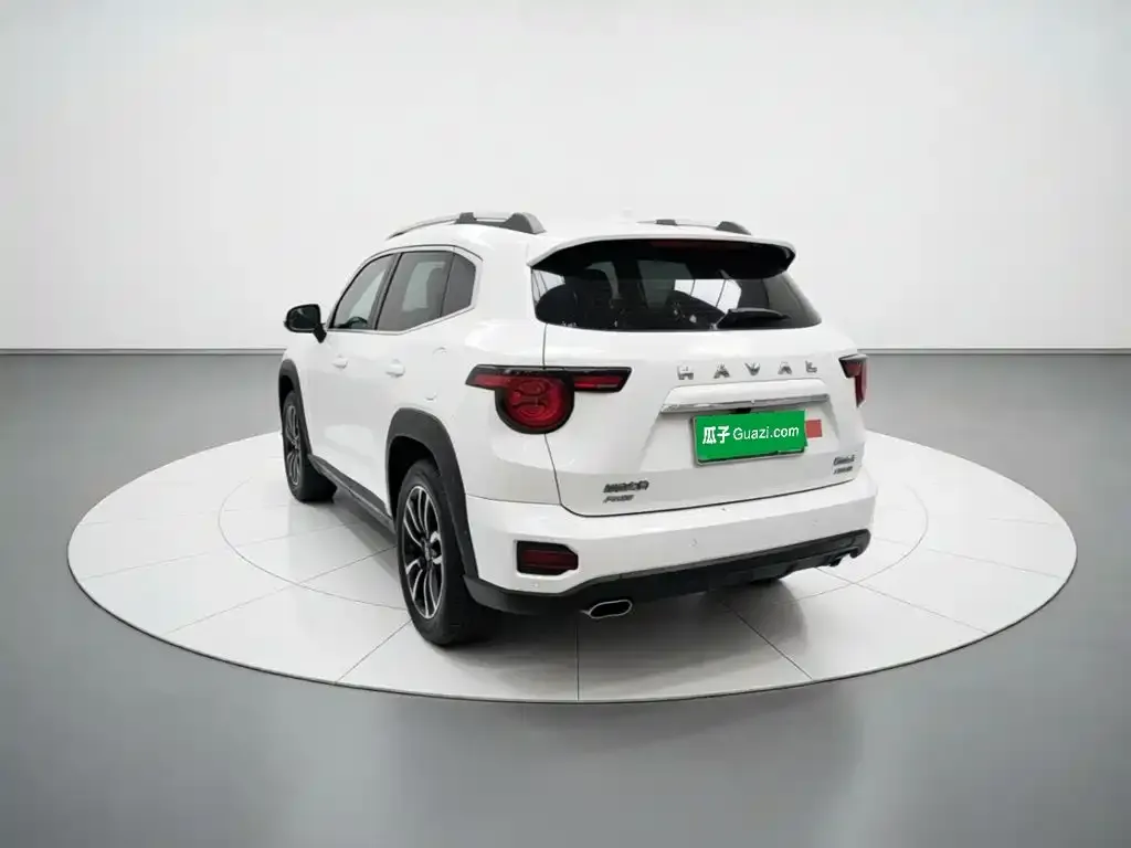 Haval Big Dog PLUS New Energy — фото 3