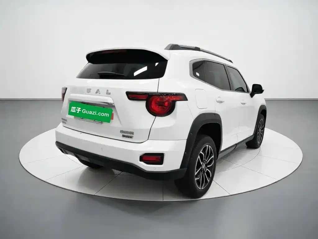 Haval Big Dog PLUS New Energy — фото 4