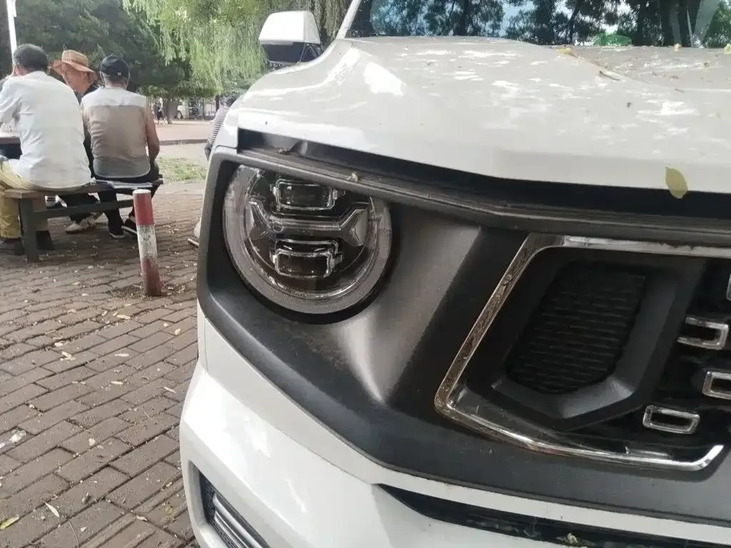 Haval Big Dog PLUS New Energy — фото 9