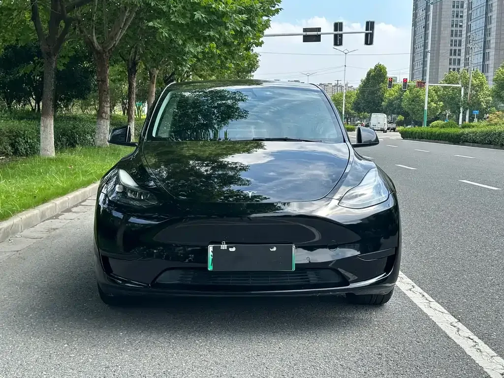 Tesla Model Y — фото 5