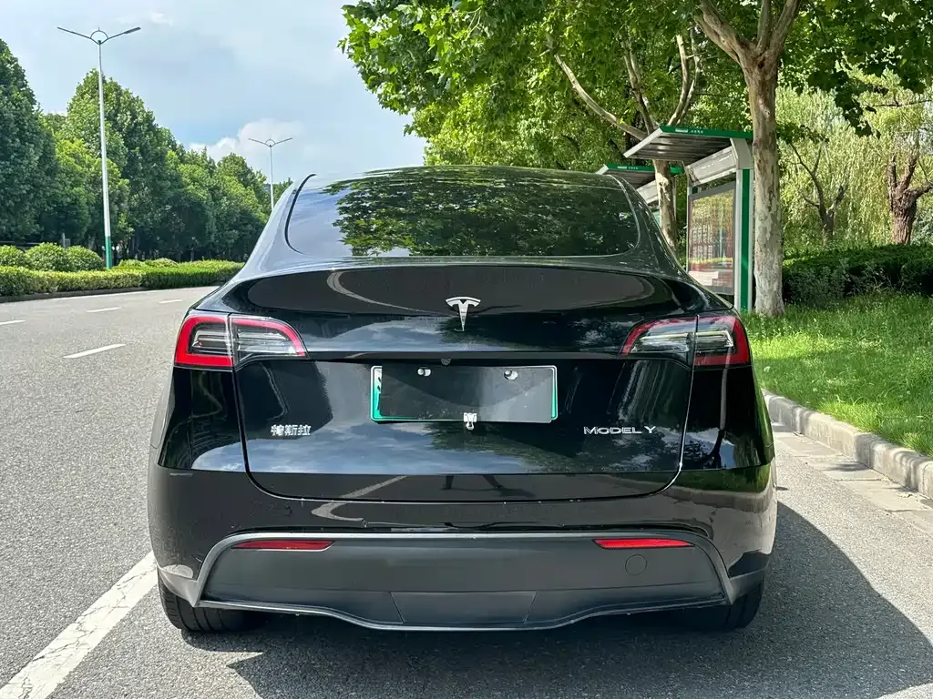 Tesla Model Y — фото 10