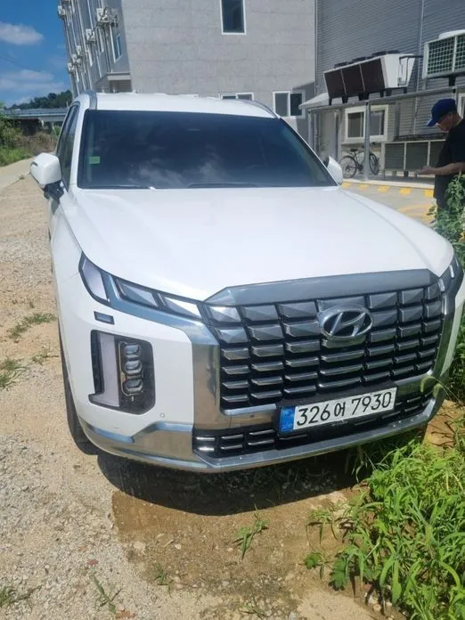 Hyundai Palisade — фото 1