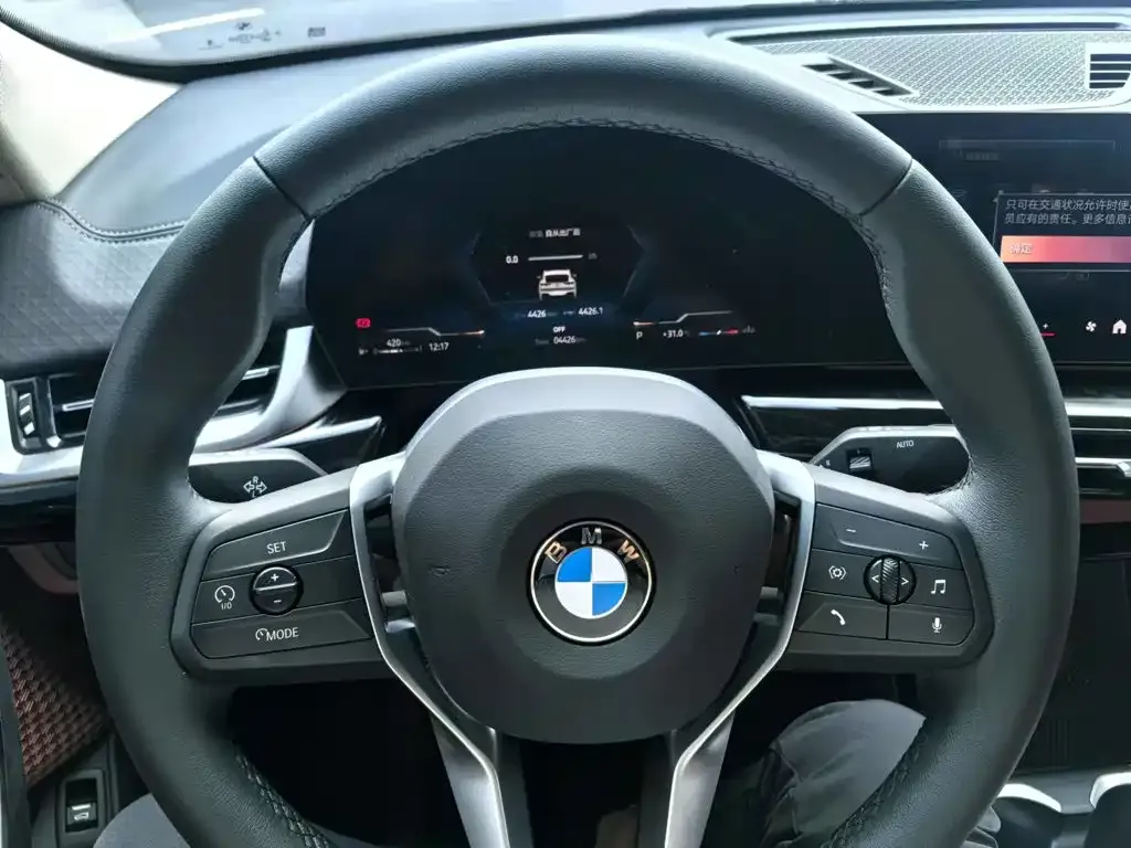 BMW X2 (Import) — фото 3