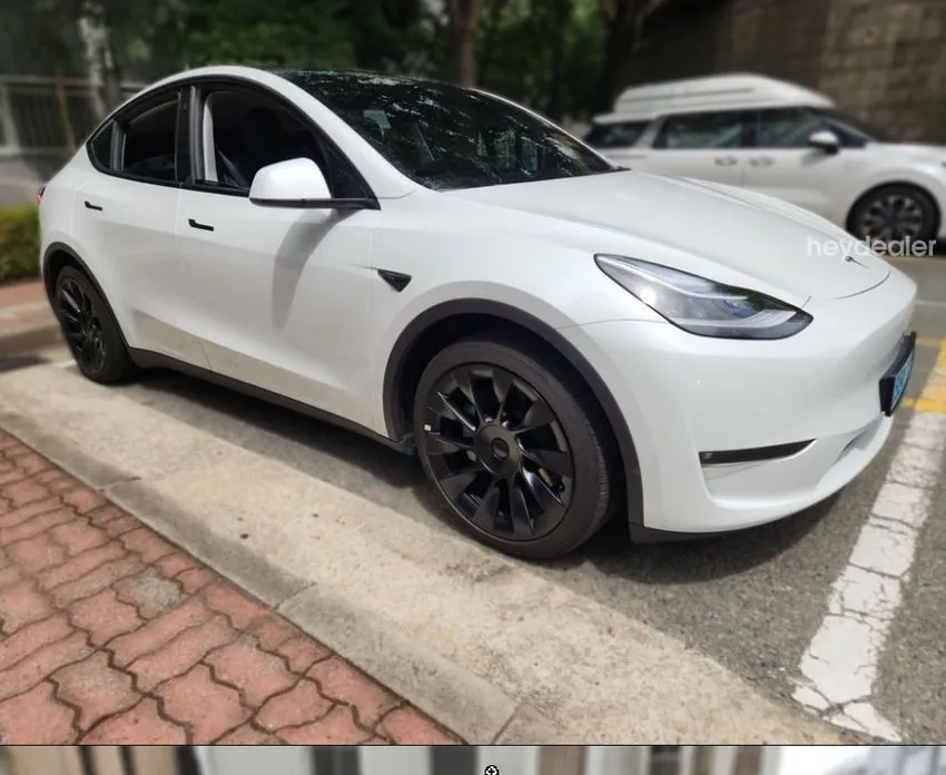 Tesla Model Y — фото 5