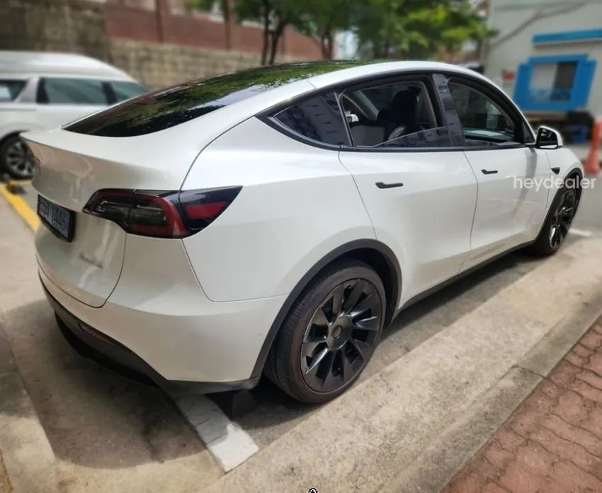 Tesla Model Y — фото 10