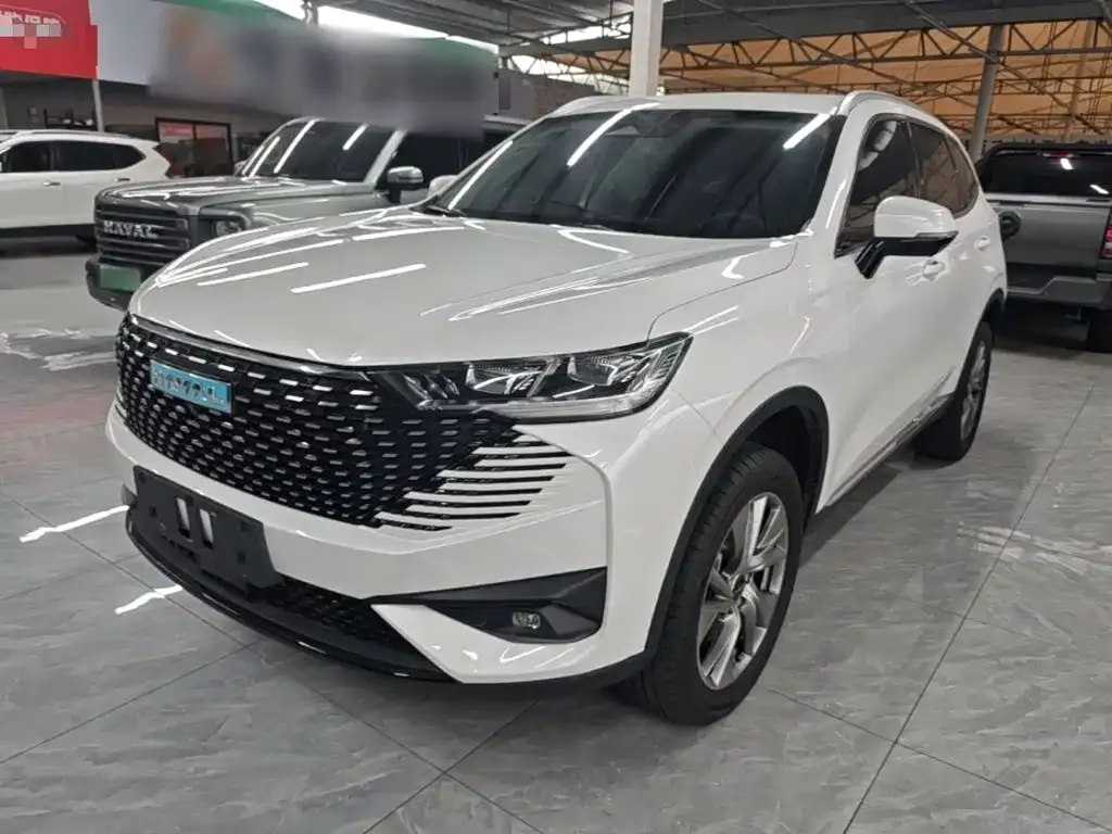 Haval H6 New Energy — фото 1