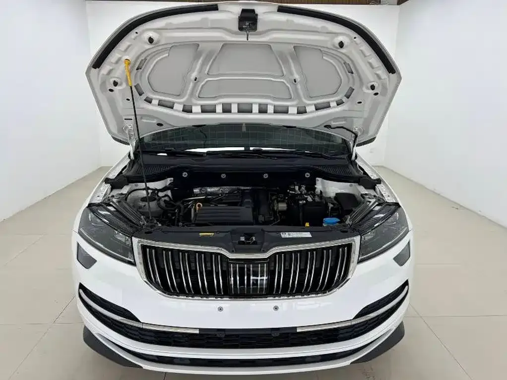 Skoda Karoq — фото 6