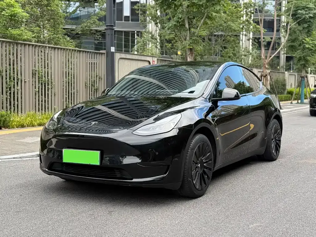 Tesla Model Y — фото 1