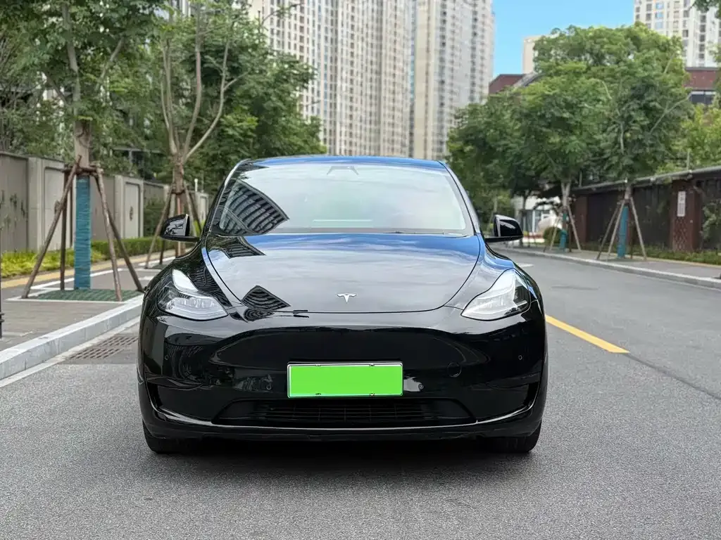 Tesla Model Y — фото 8