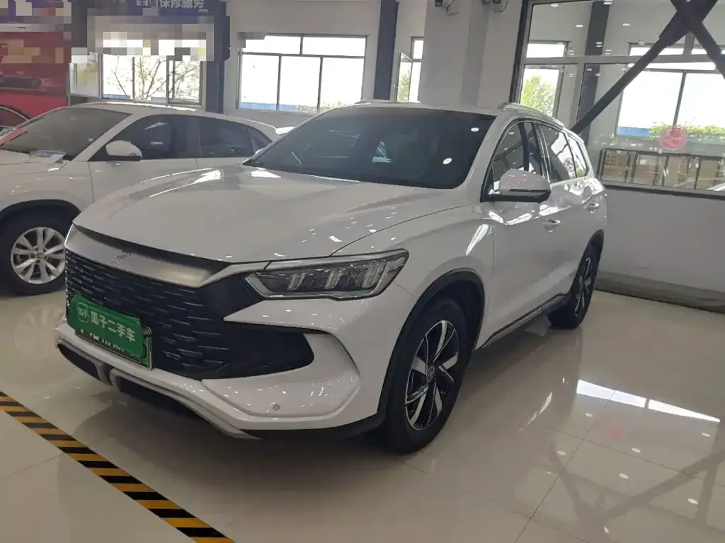 BYD Pro New Energy — фото 8