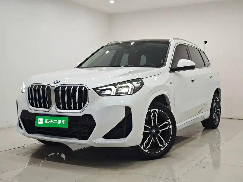 BMW X1 — фото 1